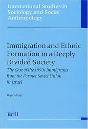 Front cover of Immigration and Ethnic Formation in a Deeply Divided Society by Majid Al Haj