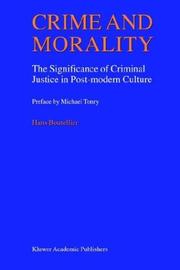 Front cover of Crime and Morality - The Significance of Criminal Justice in Post-Modern Culture by Hans Boutellier