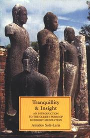 Front cover of The Tragic, The Comic and The Personal by Dneanaveira