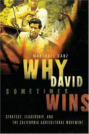 Cover of Why David Sometimes Wins by Marshall Ganz