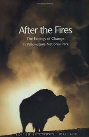 Cover of After the Fires by Linda L. Wallace