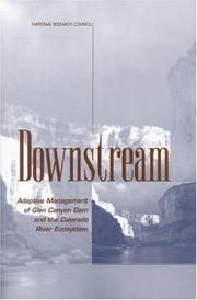 Cover of Downstream by National Research Council (US)