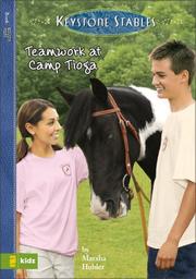 Front cover of Teamwork at Camp Tioga by Marsha Hubler