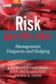 Cover of Risk quantification by Laurent Condamin