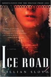 Cover of The Ice Road by Gillian Slovo