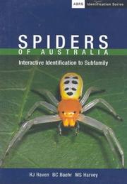 Front cover of Spiders of Australia by M. Harvey