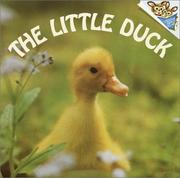 Front cover of The little duck by Judy Dunn