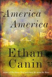 Front cover of America America by Ethan Canin