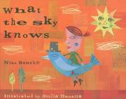 Cover of What the Sky Knows by Nike Bourke