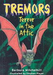 Cover of Terror in the attic by Barbara Mitchelhill
