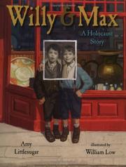 Cover of Willy and Max by Amy Littlesugar