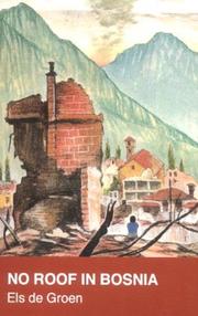 Front cover of No Roof in Bosnia by Els de Groen