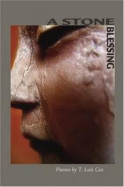 Cover of A Stone Blessing by Luis T. Cox
