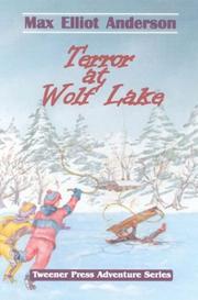 Front cover of Terror at Wolf Lake (Tweener Press Adventure) by Max Elliot Anderson