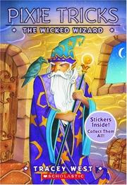 Cover of The wicked wizard by Tracey West