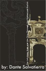 Front cover of The Latchkey Kids and the Trip Through the Mysterious Portal by Dante Salvatierra
