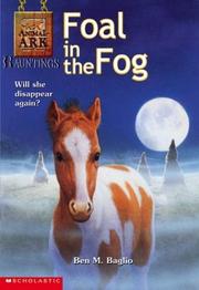 Front cover of Foal in the Fog (Animal Ark Hauntings #5) by Ben M. Baglio