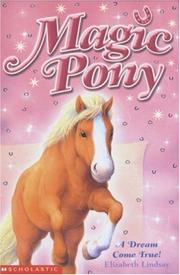 Front cover of Dream Come True by Elizabeth Lindsay       