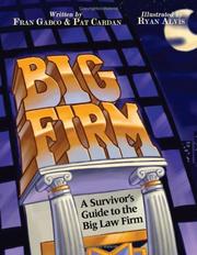 Front cover of Big Firm by Fran Gabco
