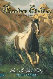 Cover of Phantom Stallion #10 by Terri Farley