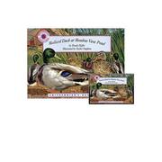 Cover of Mallard Duck Meadow View Pond by Wendy Pfeffer