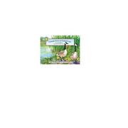 Front cover of Canada Goose Cattail Lane by Janet Halfman