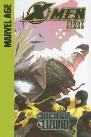 Front cover of The Bird, the Beast and the Lizard (X-Men: First Class (Spotlight)) by Jeff Parker