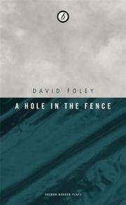 Front cover of Hole in the Fence by David Foley