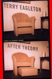 Cover of After theory by Terry Eagleton