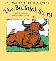 Front cover of The bird's story ; the buffalo's story by Siobhán Brandon