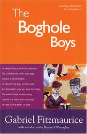 Front cover of The Boghole Boys by Gabriel Fitzmaurice