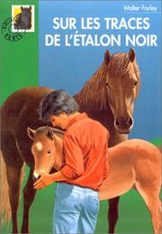 Front cover of The Blood Bay Colt by Walter Farley