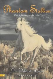 Cover of Phantom Stallion #16 by Terri Farley