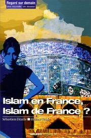 Front cover of Islam en France, islam de France? by Sébastien Draille