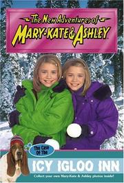 Front cover of The case of the Icy Igloo Inn by Judy Katschke