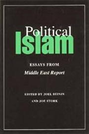 Front cover of Political Islam by Joel Beinin
