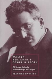 Cover of Walter Benjamin's other history by Beatrice Hanssen