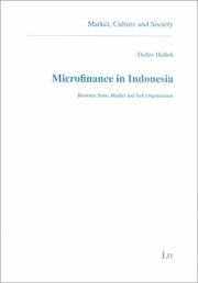Cover of Microfinance in Indonesia by Detlev Holloh