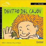 Cover of Dentro del cajón by Mireia Sánchez