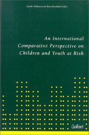 Front cover of An international comparative perspective on children and youth at risk by G. Walraven