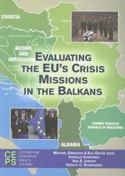 Front cover of European Islam by Samir Amghar