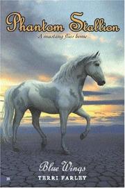 Cover of Phantom Stallion #20 by Terri Farley