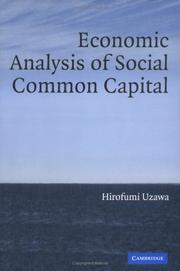 Cover of Economic analysis of social common capital by Hirofumi Uzawa