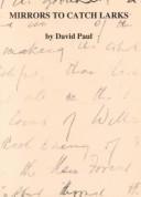 Cover of Mirrors to catch larks by David Paul
