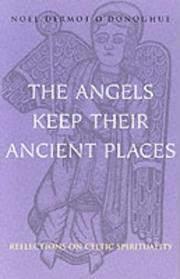 Front cover of The Angels Keep Their Ancient Places by Noel Dermot O'Donoghue