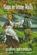 Cover of Gaps in Stone Walls by John Neufeld