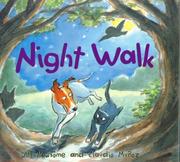 Front cover of Night walk by Jill Newsome