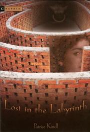 Cover of Lost in the labyrinth : a novel by Patrice Kindl