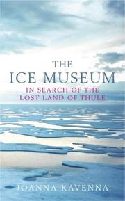 Front cover of The Ice Museum by Joanna Kavenna