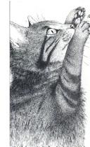Front cover of Felis, Felis by Hanna Johansen